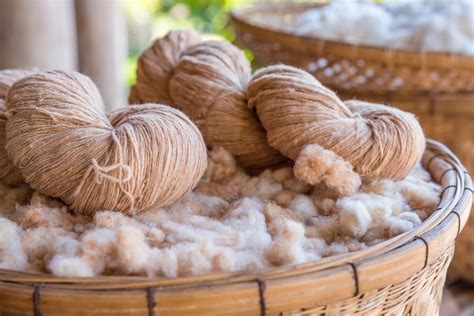  Yuccafiber - Ett Hållbart Naturmaterial för Modernt Textil Produktion!