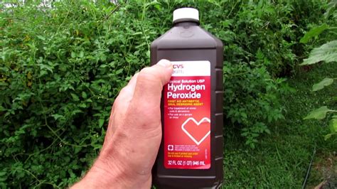 Can You Spray Plants with Hydrogen Peroxide? Exploring the Myths and Realities of Garden Chemistry