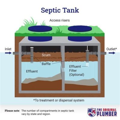 How Long Do Plastic Septic Tanks Last: A Dive into Durability and the Mysteries of Time