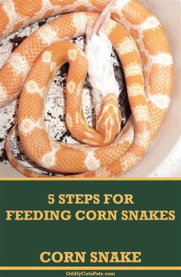 How Often Do You Feed Corn Snakes: A Journey Through the Culinary Habits of Serpents