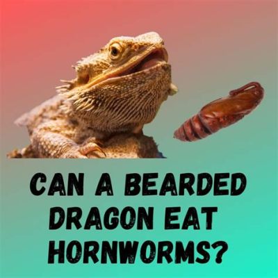 What Can I Feed Hornworms: Exploring the Culinary Preferences of These Unique Creatures