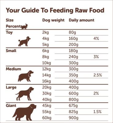 What Not to Feed a Dog That Has Seizures? And Why You Shouldn't Trust a Cat's Advice on Canine Diets